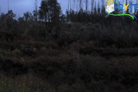 Helårsgrund i Serta, Castelo Branco, Serta - € 18.500 | Ref: AA154 - foto 4
