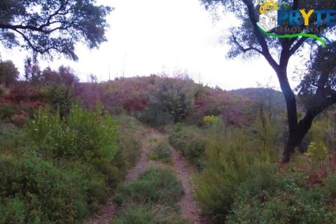 Helårsgrund i Serta, Castelo Branco, Serta - € 18.500 | Ref: AA154 - foto 6