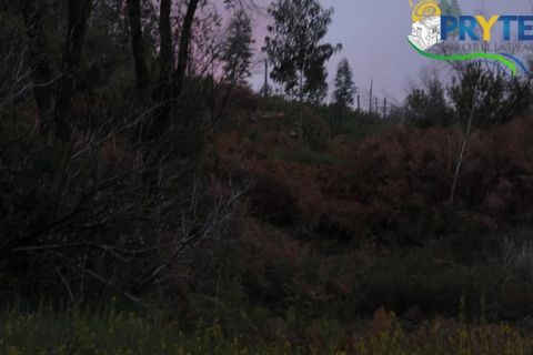 Helårsgrund i Serta, Castelo Branco, Serta - € 18.500 | Ref: AA154 - foto 7