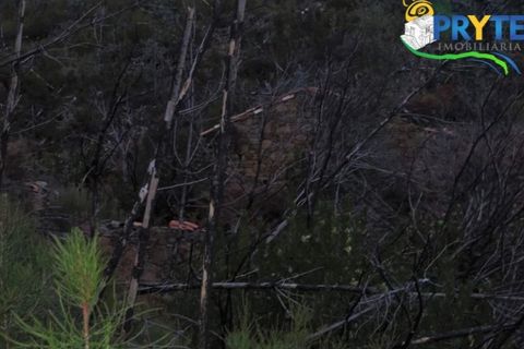 Helårsgrund i Serta, Castelo Branco, Serta - € 18.500 | Ref: AA154 - foto 8