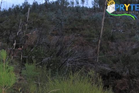 Helårsgrund i Serta, Castelo Branco, Serta - € 18.500 | Ref: AA154 - foto 9