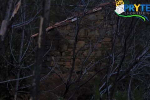 Helårsgrund i Serta, Castelo Branco, Serta - € 18.500 | Ref: AA154 - foto 10