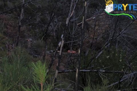 Helårsgrund i Serta, Castelo Branco, Serta - € 18.500 | Ref: AA154 - foto 11