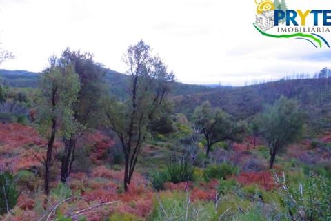 Helårsgrund i Serta, Castelo Branco, Serta - € 18.500 | Ref: AA154 - foto 12