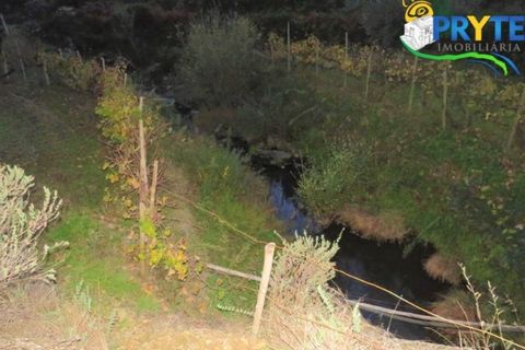 Helårsgrund i Serta, Castelo Branco, Serta - € 18.500 | Ref: AA154 - foto 13