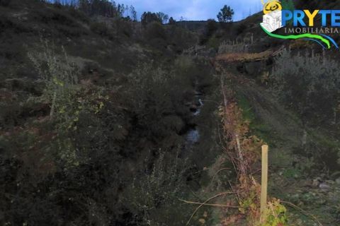 Helårsgrund i Serta, Castelo Branco, Serta - € 18.500 | Ref: AA154 - foto 14