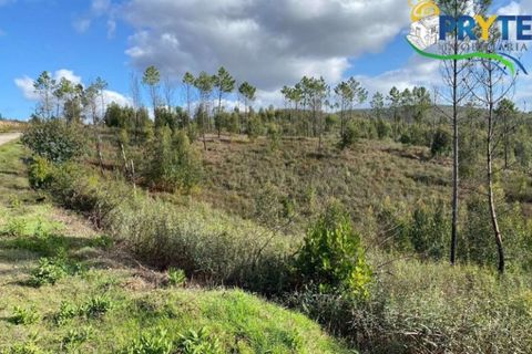 Helårsgrund i Serta, Castelo Branco, Serta - € 45.000 | Ref: AA192 - foto 2