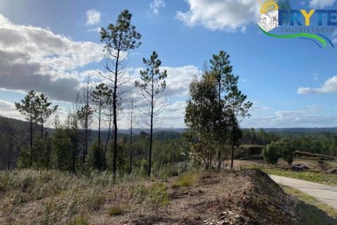 Helårsgrund i Serta, Castelo Branco, Serta - € 45.000 | Ref: AA192 - foto 3