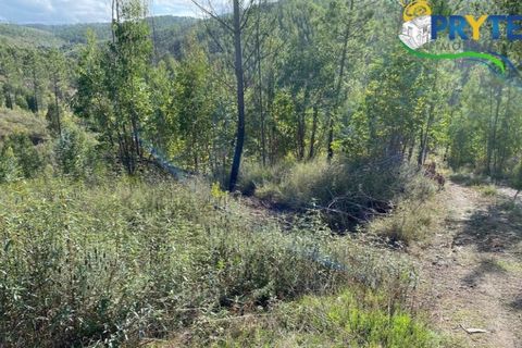 Helårsgrund i Serta, Castelo Branco, Serta - € 45.000 | Ref: AA192 - foto 5