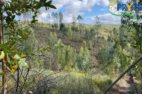 Helårsgrund i Serta, Castelo Branco, Serta - € 45.000 | Ref: AA192 - foto 6