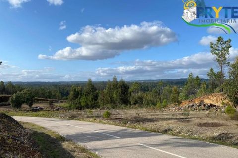 Helårsgrund i Serta, Castelo Branco, Serta - € 45.000 | Ref: AA192 - foto 7
