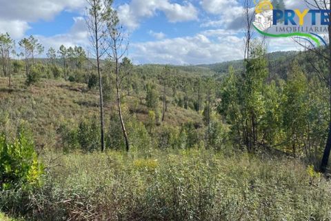 Helårsgrund i Serta, Castelo Branco, Serta - € 45.000 | Ref: AA192 - foto 8