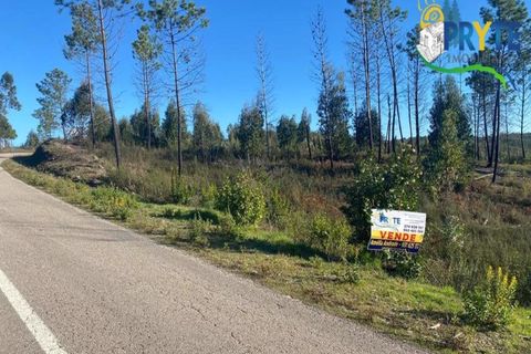 Helårsgrund i Serta, Castelo Branco, Serta - € 45.000 | Ref: AA192 - foto 9