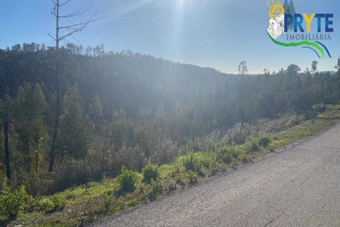 Helårsgrund i Serta, Castelo Branco, Serta - € 45.000 | Ref: AA192 - foto 10