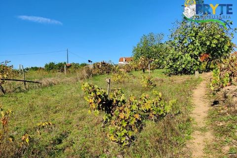 Ruïna a Gaviao, Portalegre, Gaviao - € 21.000 | Ref: RF19 - foto 5