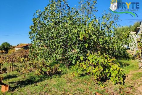 Ruïna a Gaviao, Portalegre, Gaviao - € 21.000 | Ref: RF19 - foto 6