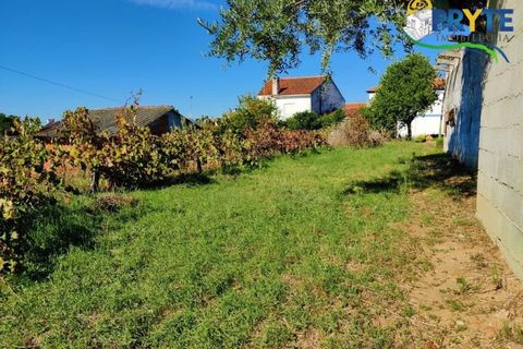 Ruïna a Gaviao, Portalegre, Gaviao - € 21.000 | Ref: RF19 - foto 7