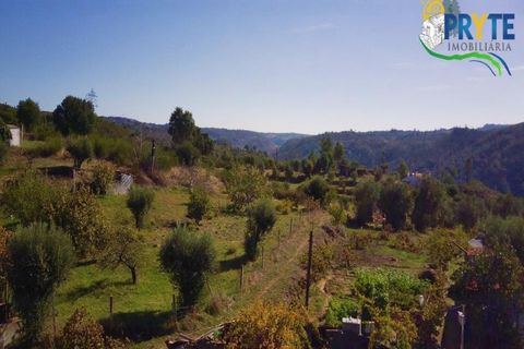 Ruïna a Gaviao, Portalegre, Gaviao - € 21.000 | Ref: RF19 - foto 11