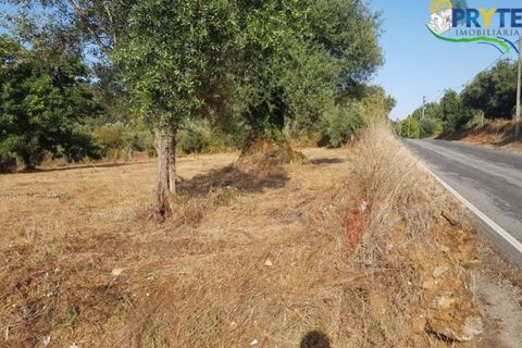 Helårsgrund i Serta, Castelo Branco, Serta - € 165.000 | Ref: AS35 - foto 1