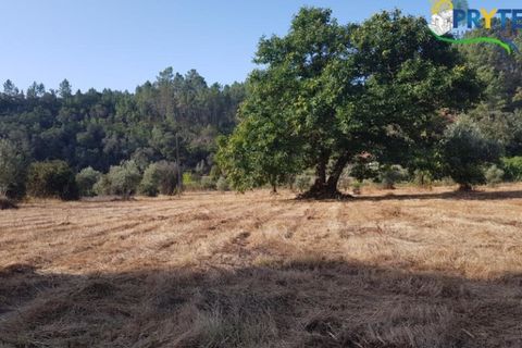 Helårsgrund i Serta, Castelo Branco, Serta - € 165.000 | Ref: AS35 - foto 3