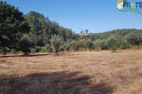 Helårsgrund i Serta, Castelo Branco, Serta - € 165.000 | Ref: AS35 - foto 4
