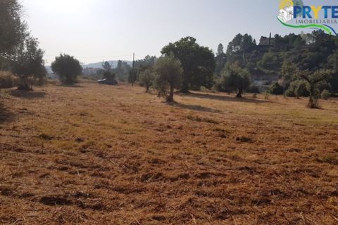 Helårsgrund i Serta, Castelo Branco, Serta - € 165.000 | Ref: AS35 - foto 5