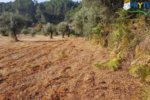 Helårsgrund i Serta, Castelo Branco, Serta - € 165.000 | Ref: AS35 - foto 6
