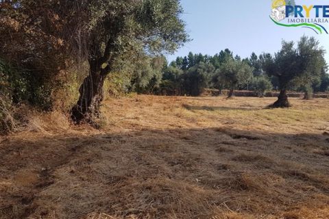 Helårsgrund i Serta, Castelo Branco, Serta - € 165.000 | Ref: AS35 - foto 7