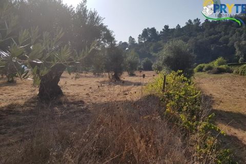 Helårsgrund i Serta, Castelo Branco, Serta - € 165.000 | Ref: AS35 - foto 9