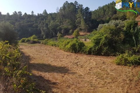 Helårsgrund i Serta, Castelo Branco, Serta - € 165.000 | Ref: AS35 - foto 10