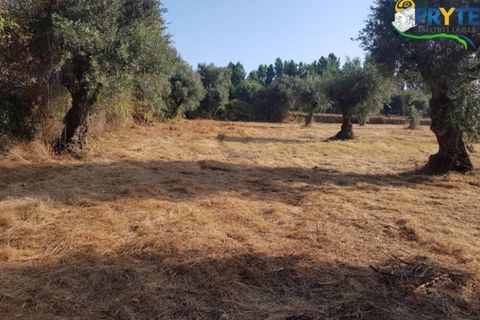 Helårsgrund i Serta, Castelo Branco, Serta - € 165.000 | Ref: AS35 - foto 11
