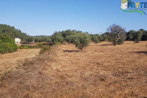 Helårsgrund i Serta, Castelo Branco, Serta - € 165.000 | Ref: AS35 - foto 14