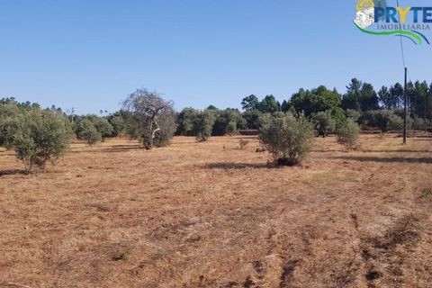 Helårsgrund i Serta, Castelo Branco, Serta - € 165.000 | Ref: AS35 - foto 15