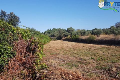 Helårsgrund i Serta, Castelo Branco, Serta - € 165.000 | Ref: AS35 - foto 16