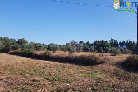Helårsgrund i Serta, Castelo Branco, Serta - € 165.000 | Ref: AS35 - foto 17
