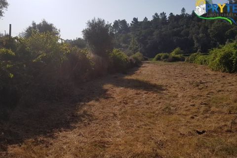 Helårsgrund i Serta, Castelo Branco, Serta - € 165.000 | Ref: AS35 - foto 18