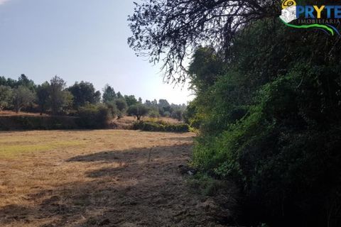 Helårsgrund i Serta, Castelo Branco, Serta - € 165.000 | Ref: AS35 - foto 20