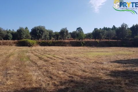 Helårsgrund i Serta, Castelo Branco, Serta - € 165.000 | Ref: AS35 - foto 21