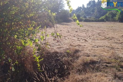 Helårsgrund i Serta, Castelo Branco, Serta - € 165.000 | Ref: AS35 - foto 22