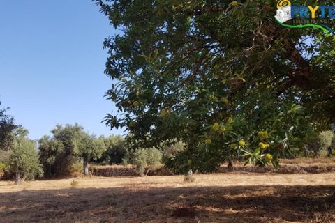 Helårsgrund i Serta, Castelo Branco, Serta - € 165.000 | Ref: AS35 - foto 24