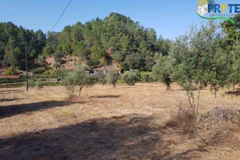 Helårsgrund i Serta, Castelo Branco, Serta - € 165.000 | Ref: AS35 - foto 25