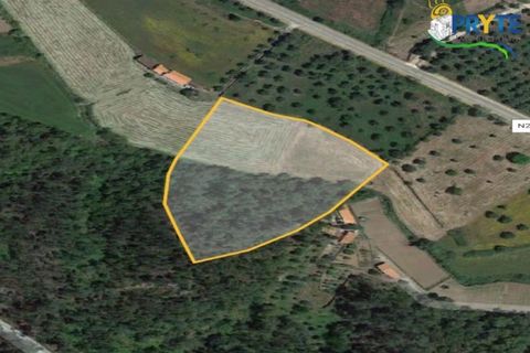 Helårsgrund i Serta, Castelo Branco, Serta - € 165.000 | Ref: AS35 - foto 27