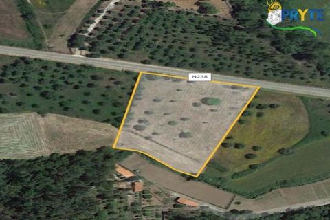 Helårsgrund i Serta, Castelo Branco, Serta - € 165.000 | Ref: AS35 - foto 28