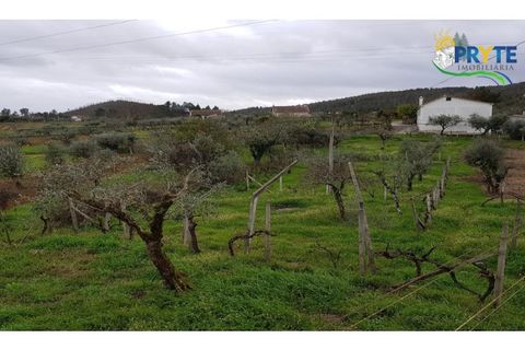 Villa i Serta, Castelo Branco, Serta - € 75.000 | Ref: AS73 - foto 3
