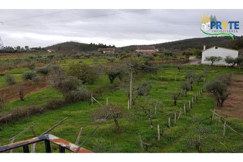 Villa i Serta, Castelo Branco, Serta - € 75.000 | Ref: AS73 - foto 4