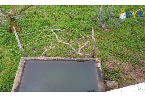Villa i Serta, Castelo Branco, Serta - € 75.000 | Ref: AS73 - foto 7
