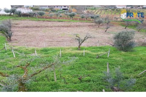 Villa i Serta, Castelo Branco, Serta - € 75.000 | Ref: AS73 - foto 8