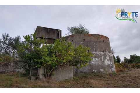 Ruinere i Serta, Castelo Branco, Serta - € 35.000 | Ref: AS37 - foto 8