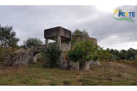 Ruinere i Serta, Castelo Branco, Serta - € 35.000 | Ref: AS37 - foto 10