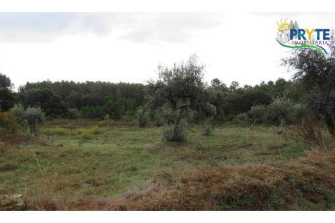Ruinere i Serta, Castelo Branco, Serta - € 35.000 | Ref: AS37 - foto 11